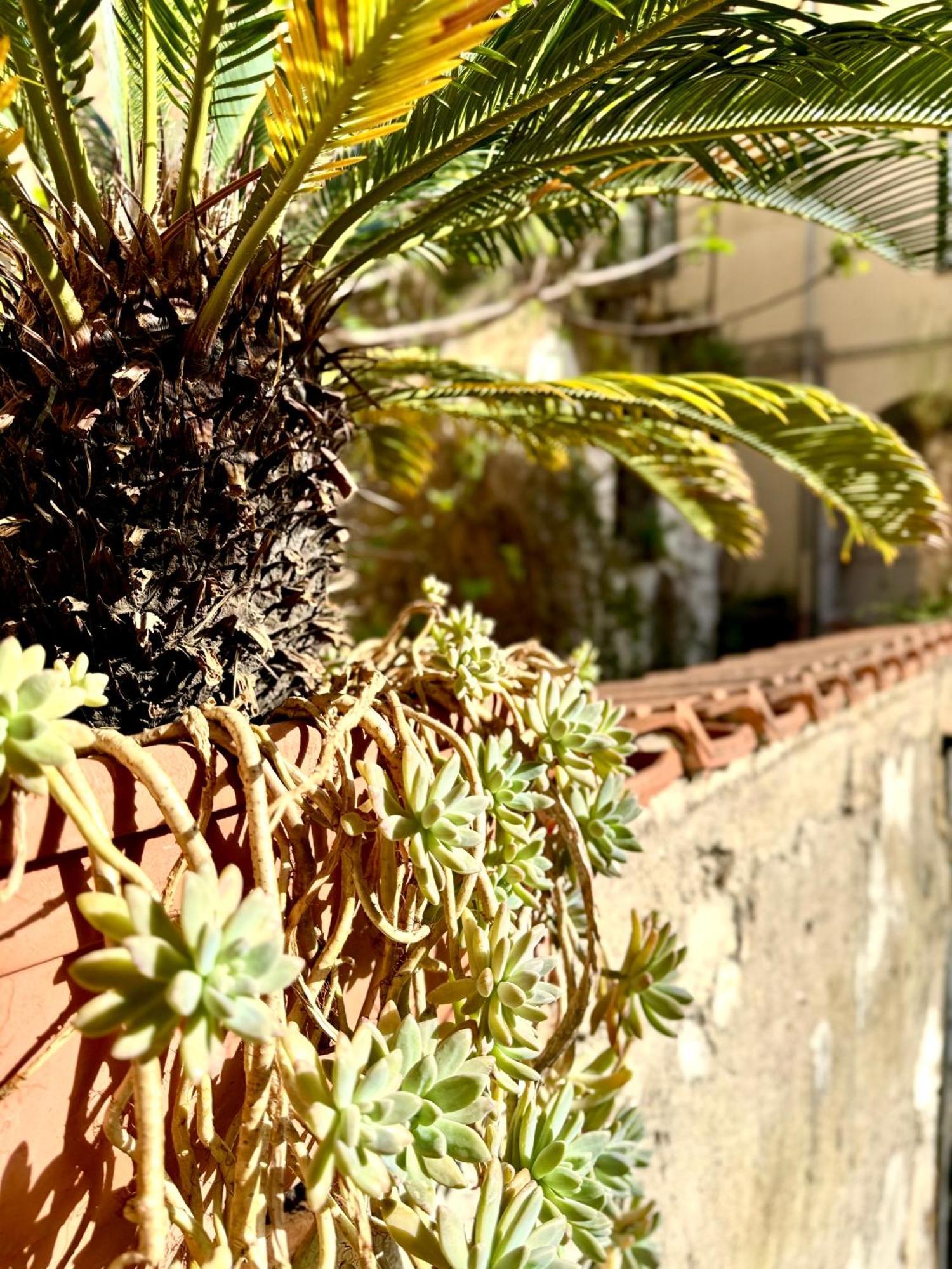 Holiday home Hippocampus *