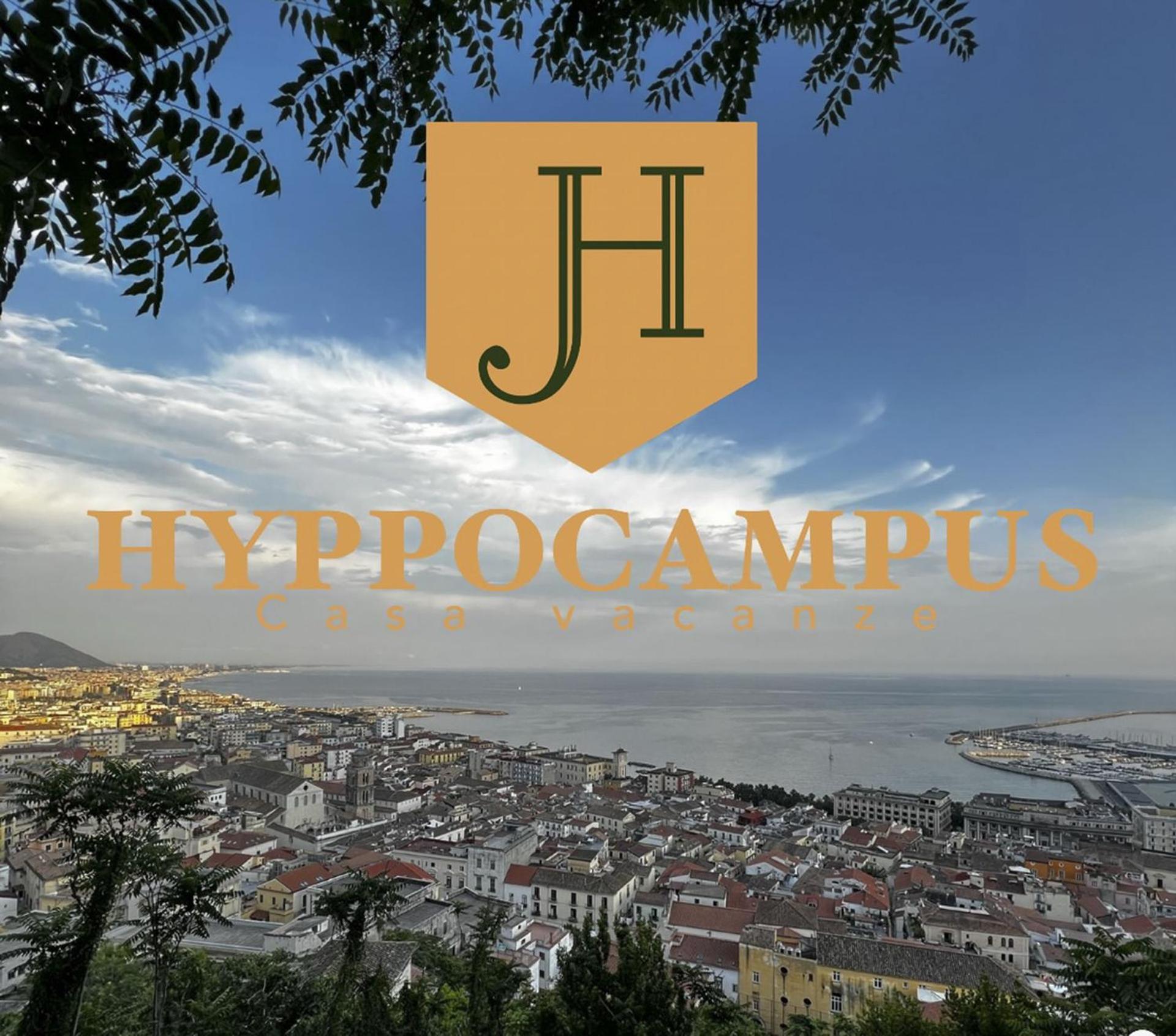 Hippocampus